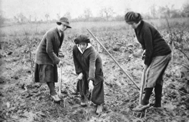 Aangenaam, winstgevend, patriottisch: op een fruitboerderij in Letchmore Heath, nabij St. Albans, uit The Illustrated War News, 2 augustus 1916
