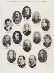 De British South Africa Select Committee van het Lagerhuis