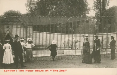 De ijsberen in de dierentuin, Londen