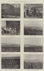 De Vrijwilligersmanoeuvres in Brighton