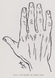 Het vierkante, of nuttige hand