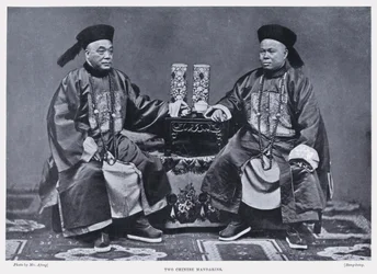 Twee Chinese mandarijnen (zw/w foto)