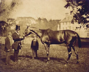 Wild Dayrell, winnaar van de Derby in 1856