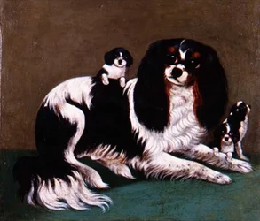 Een King Charles Spaniel familie, Provinciale School