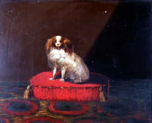 Een King Charles Spaniel op een rood kussen, Provinciale School