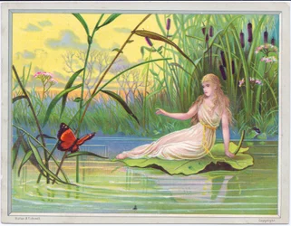 Een Victoriaanse wenskaart van een fee die op een lotuslelieblad ligt en naar een vlinder kijkt tegen een achtergrond van riet