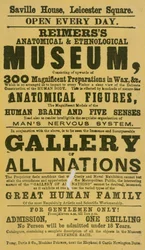 Advertentie voor Reimerss Anatomisch en Etnologisch Museum