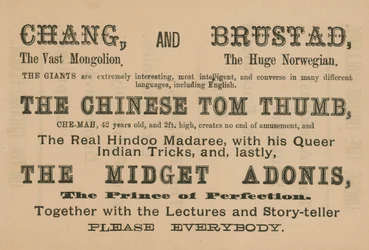 Advertentie voor optredens van Chang, Brustad, The Chinese Tom Thumb en The Midget Adonis