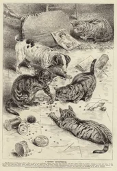 Advertentie voor Beechams Pills