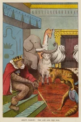 Aesopus