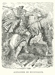 Alexander op Bucephalus (gravure)