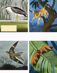 Allerlei nachtwezens