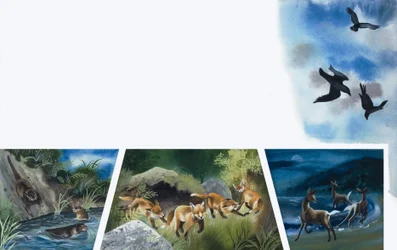 Dieren aan het spelen