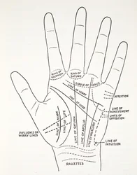 Basislijnen en Kleinere Lijnen van de Hand