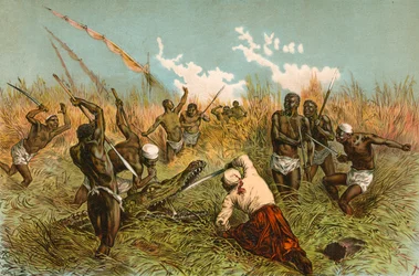 Gevecht met een krokodil