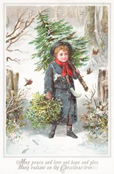 Jongen die kerstboom over schouder draagt