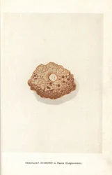 Braziliaanse diamant in matrix (conglomeraat), uit Edwin Streeter