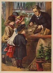 De zaden kopen (kleurenlitho)