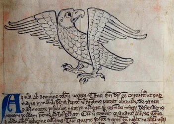 CCA-LitMs/D/10 fol. 13r Adelaar, uit Bestiarium