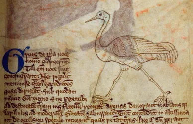 CCA-LitMs/D/10 fol. 14r Kraanvogel, uit Bestiarium