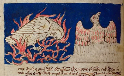 CCA-LitMs/D/10 fol. 17v Feniks, uit Bestiarium