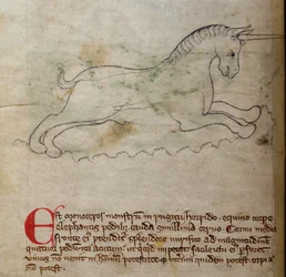 CCA-LitMs/D/10 fol. 2v Eenhoorn, uit Bestiarium