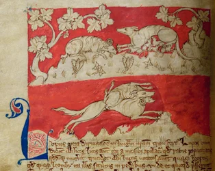 CCA-LitMs/D/10 fol. 4v Wolf, uit Bestiarium