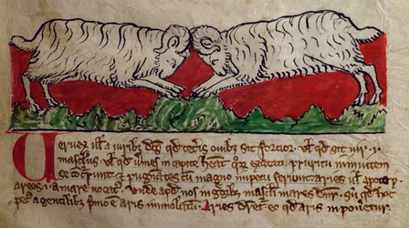Wether, uit Bestiarium