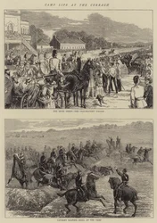 Kampleven bij de Curragh