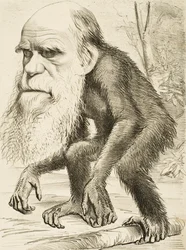 Karikatuur van Charles Darwin