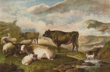 Vee, Vroege Ochtend