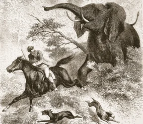 Achtervolgd door een olifant, illustratie uit De Geïllustreerde Editie van het Leven en de Ontdekkingen van David Livingstone door J. Ewing Richie, uitgegeven door A. Fullarton & Co., 1876
