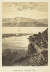Kustscène op het eiland Hawaï