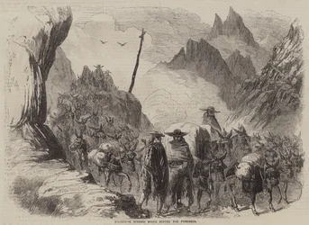 Het vervoeren van Spaanse wijnen over de Pyreneeën (gravure)