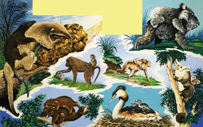 Wezens die hun jongen dragen