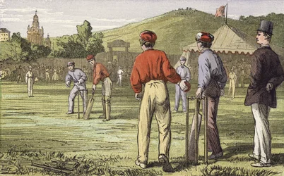 Cricket