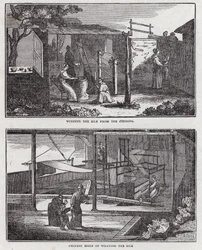 Zijdecultivatie (gravure)