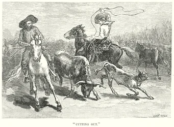 "Uitsnijden" (gravure)