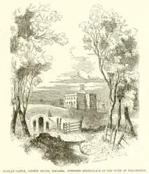 Dangan Castle, County Meath, Ierland. Veronderstelde geboorteplaats van de hertog van Wellington