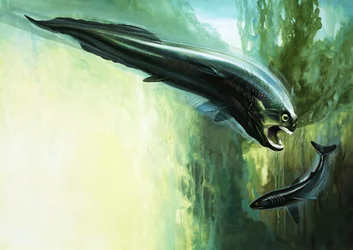 Dinichthys