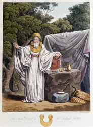 Druïde (in 