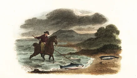 Engelse visser Graham jaagt op zalm in ondiep water te paard met een 5-meter lange drietand