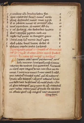 Uittreksels uit Henry of Huntingdon