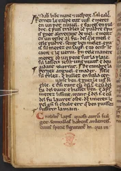 Uittreksels uit Henry of Huntingdon