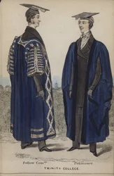 Fellow Commoner, Pensionaris, Trinity College