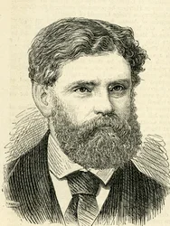 Francis Edmund Anstie (1833-74) Illustratie