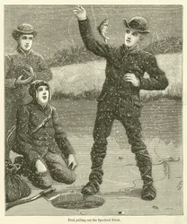 Fred haalt de gestreepte forel tevoorschijn (gravure)