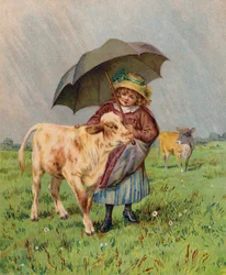 Meisje dat een kalf tegen de regen beschermt