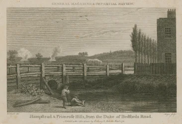 Hampstead en Primrose Hills, vanaf de weg van de hertog van Bedford