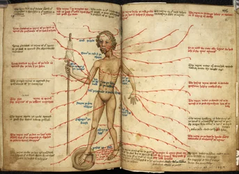 Miniatuur van een aderlating man met één voet in een bloedpan en een spil in zijn hand, illustratie uit 
